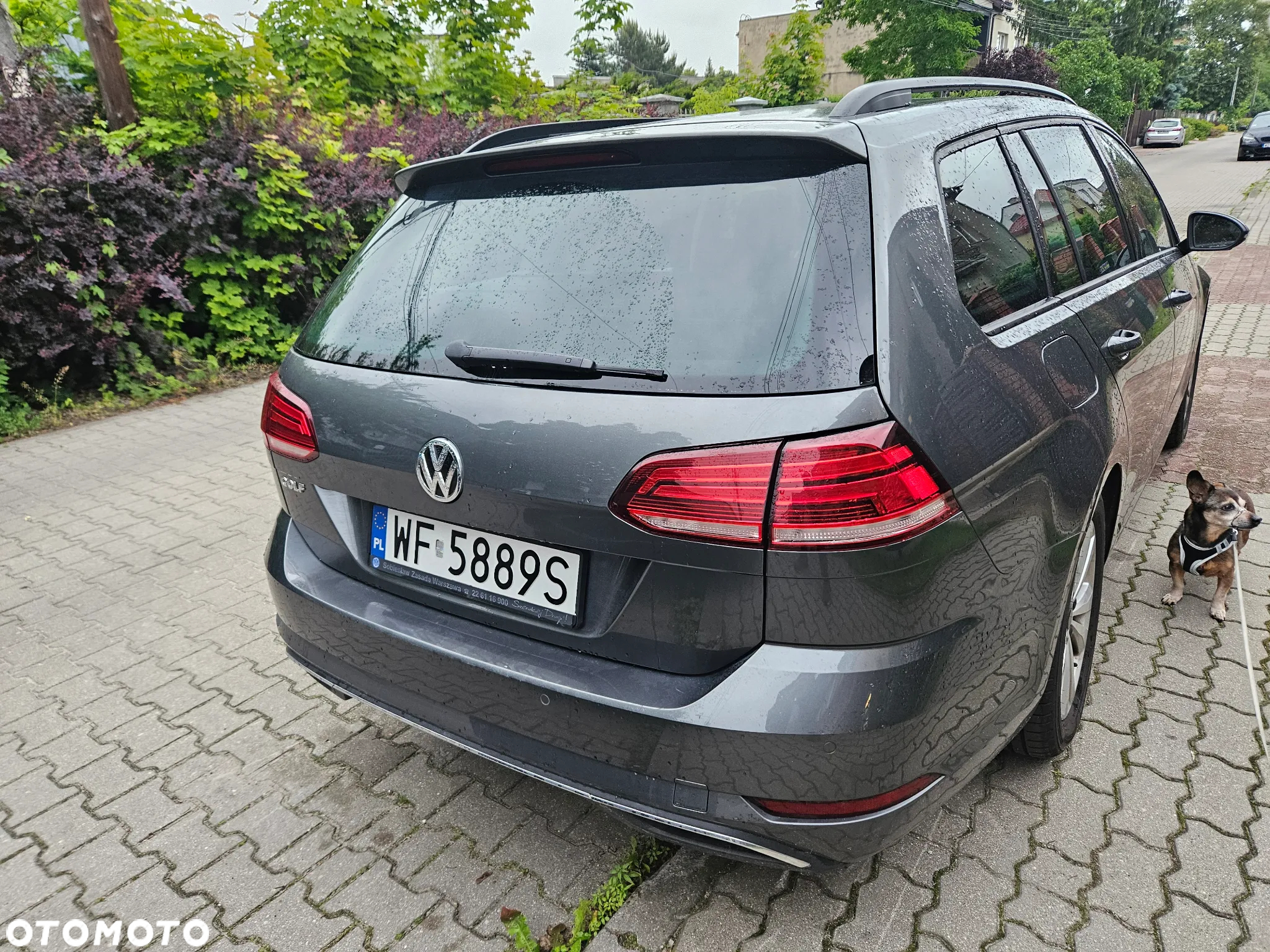 Volkswagen Golf VII 1.6 TDI BMT Comfortline DSG - 3