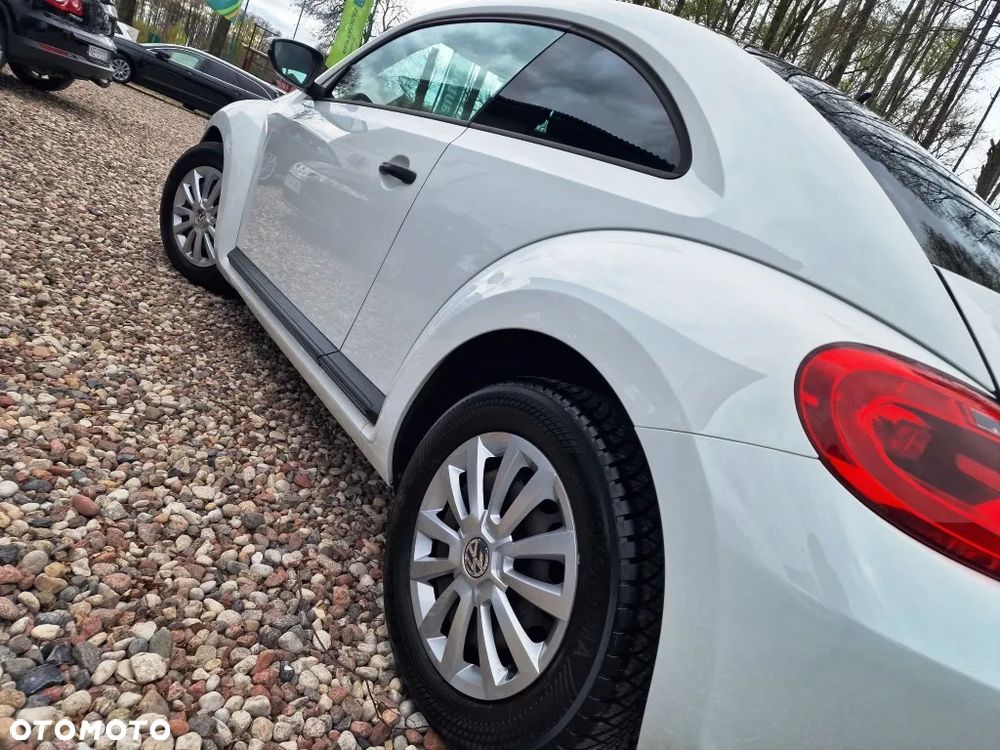 Volkswagen Beetle - 23