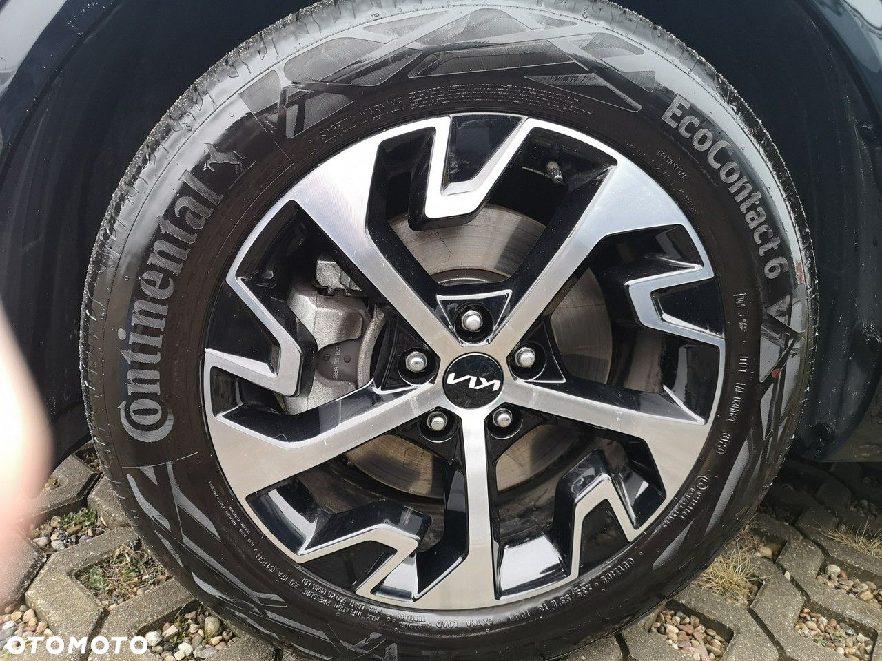 Kia Sportage 1.6 T-GDI MHEV Business Line 2WD DCT - 38