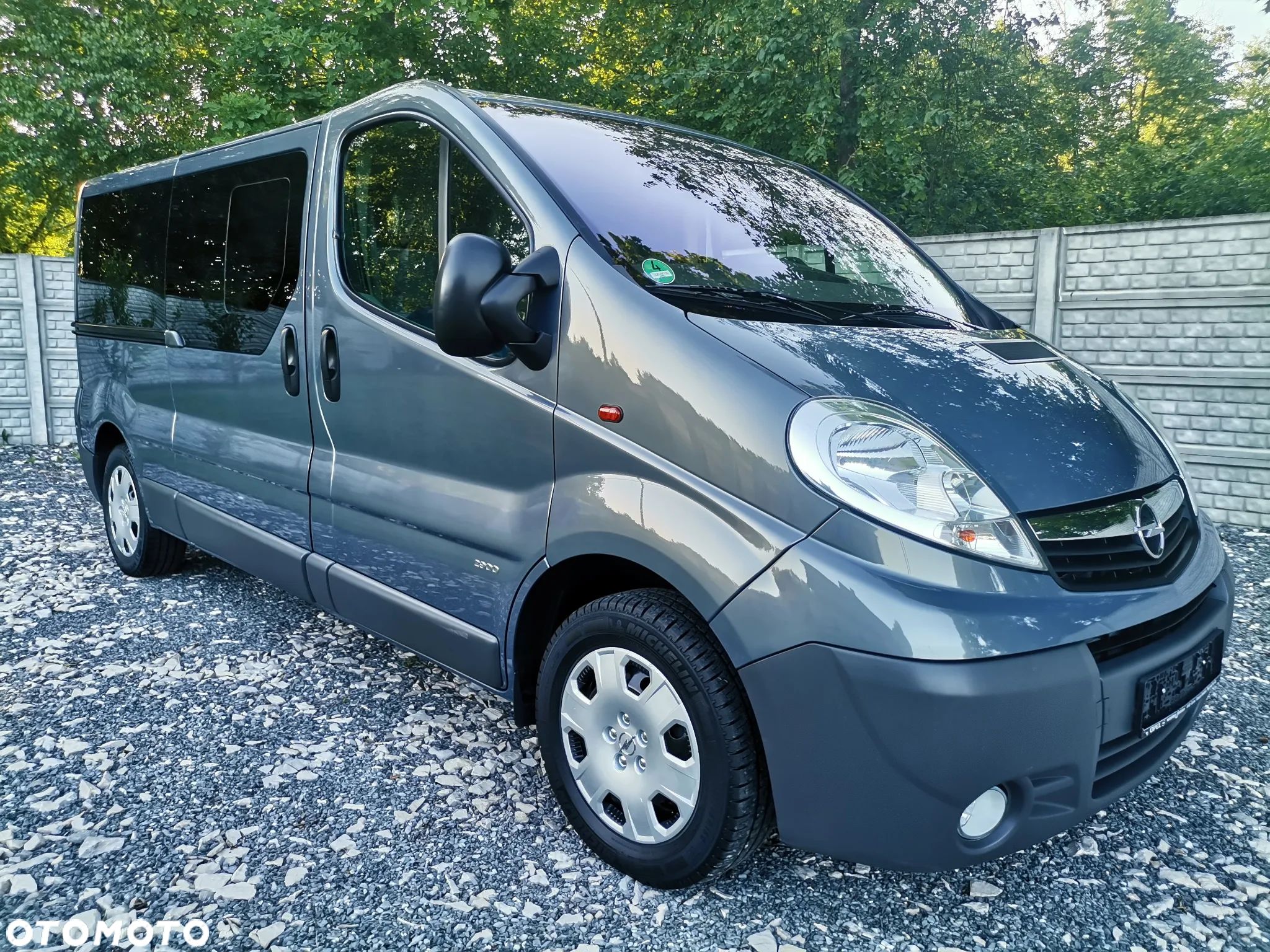 Opel Vivaro 2.0 CDTI L2H1 - 1