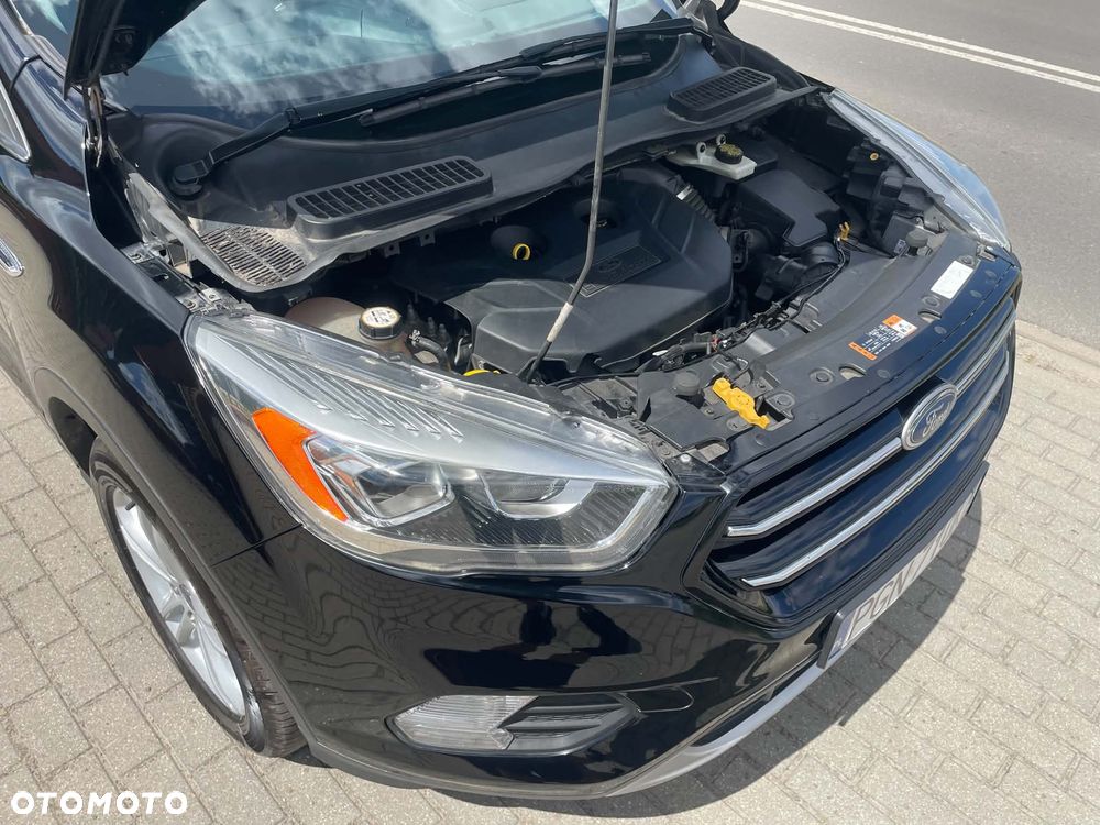 Ford Escape - 3