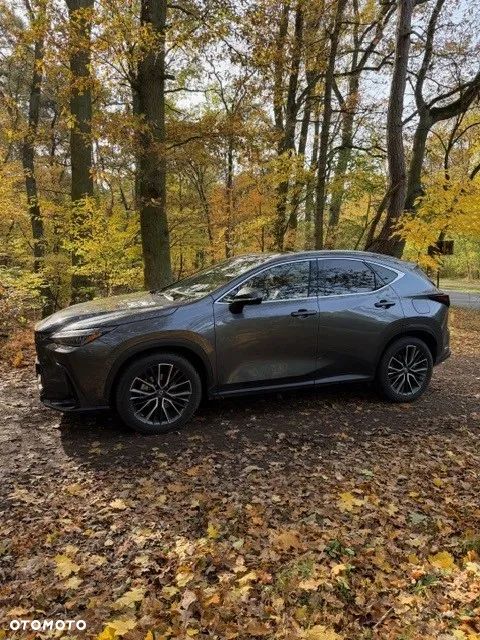 Lexus NX 350h Omotenashi AWD - 9