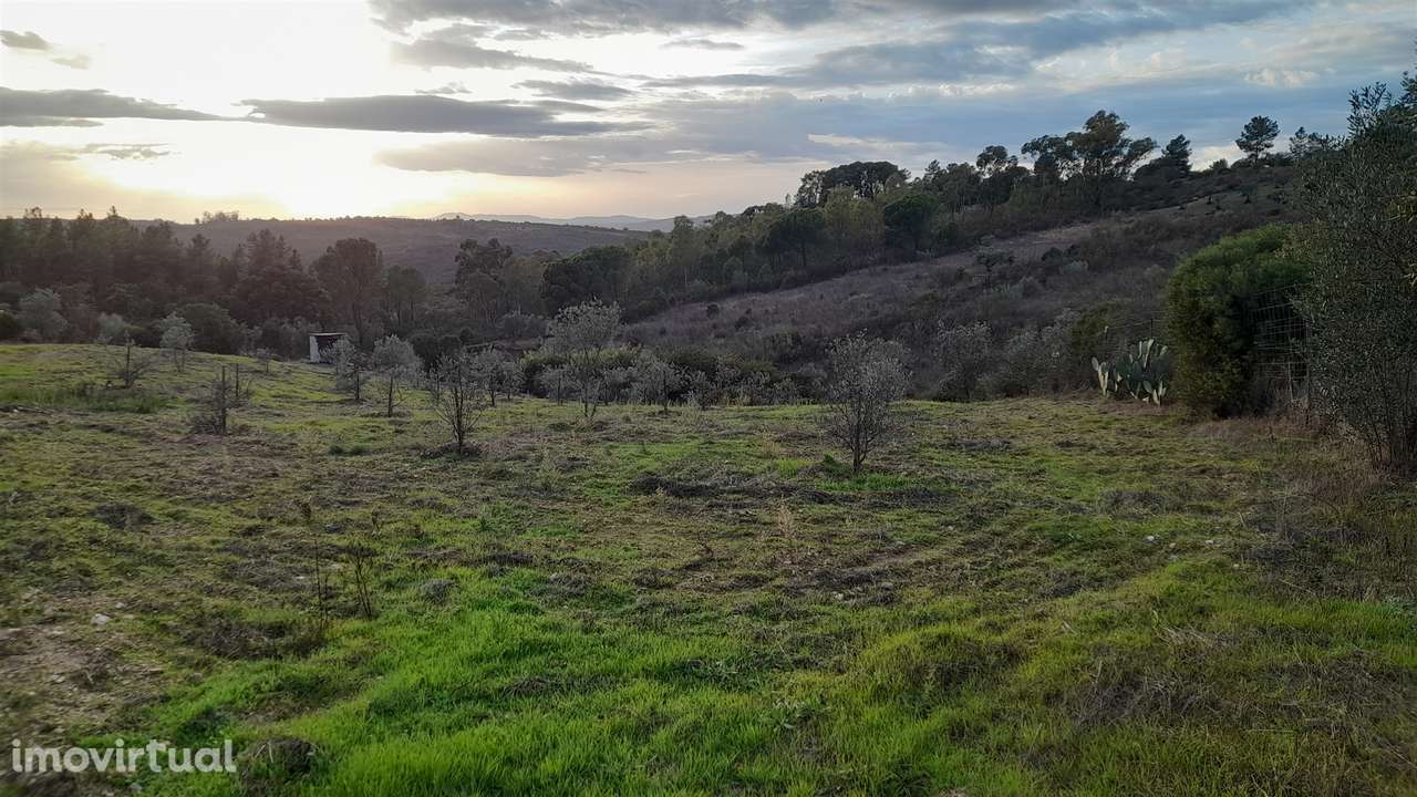 Moradia em Banda T4 Venda em Castelo Branco,Castelo Branco - Grande imagem: 3/42