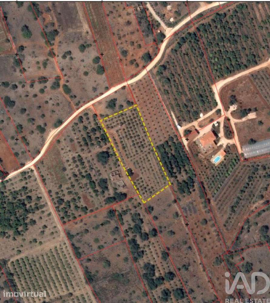 Terreno Agrícola em Silves - Grande imagem: 2/22