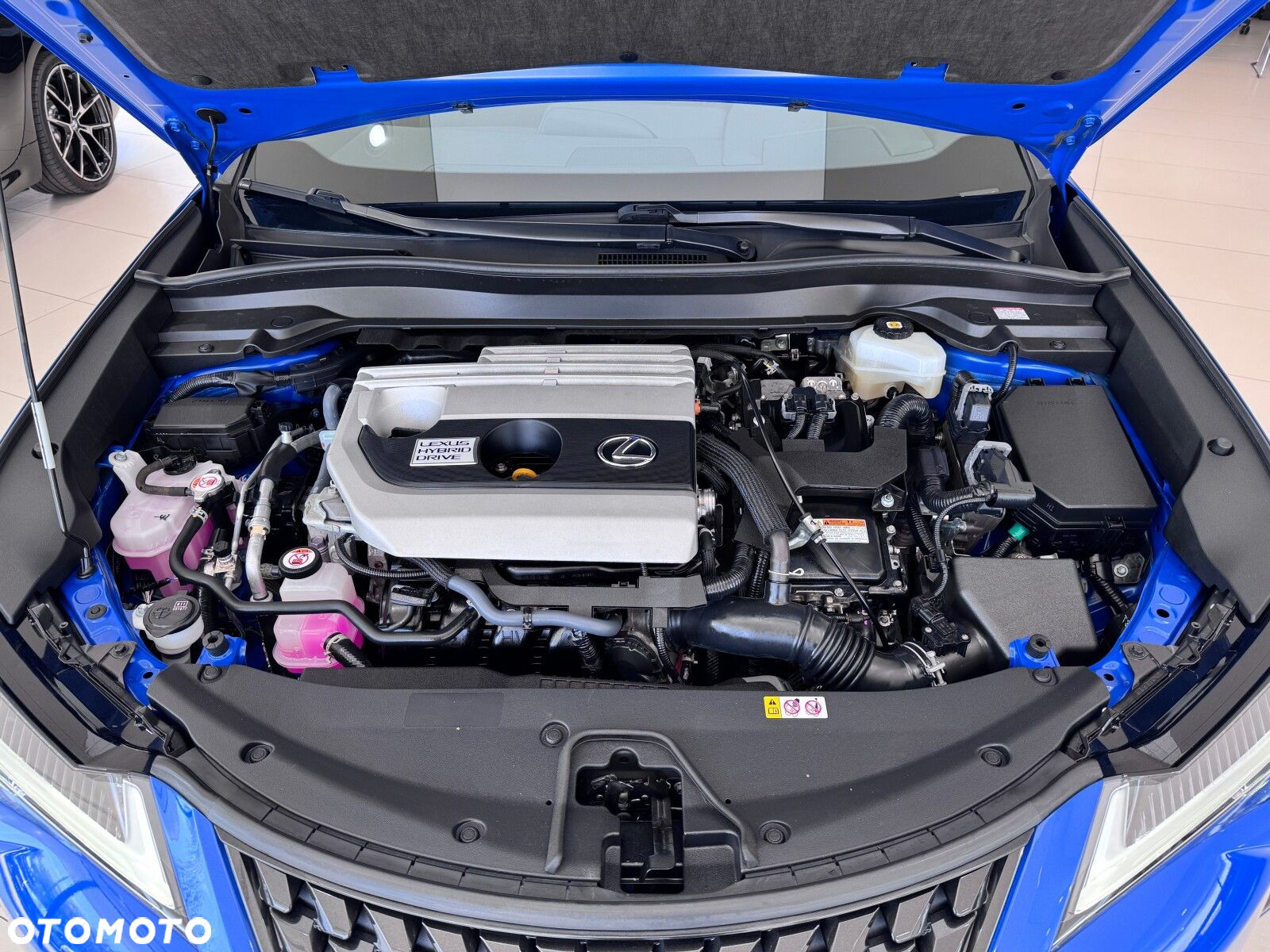 Lexus UX - 20