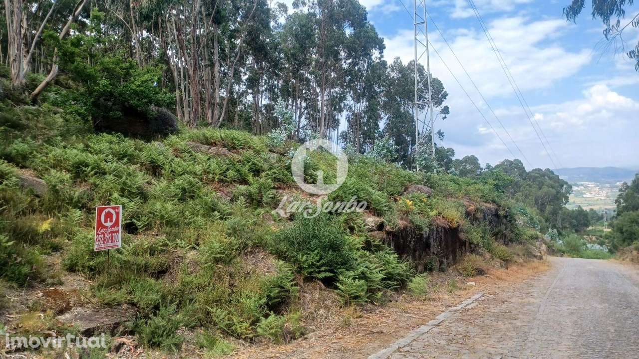 Bouça com 1500m2 em Oliveira Santa Maria - Grande imagem: 3/4