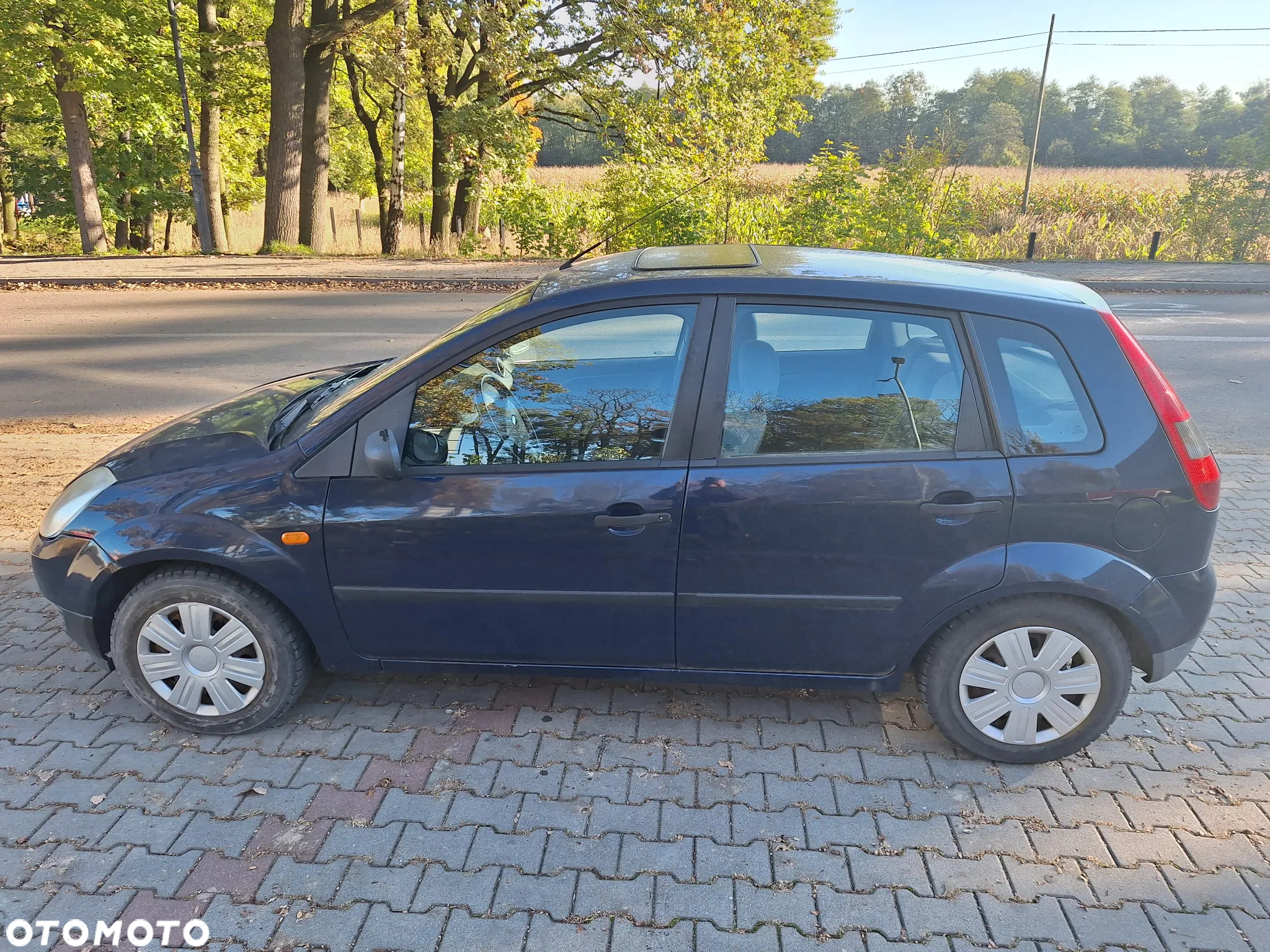 Ford Fiesta 1.3 - 4