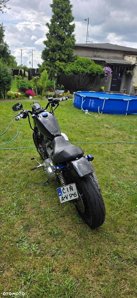 Harley-Davidson Sportster Custom 883C - 5