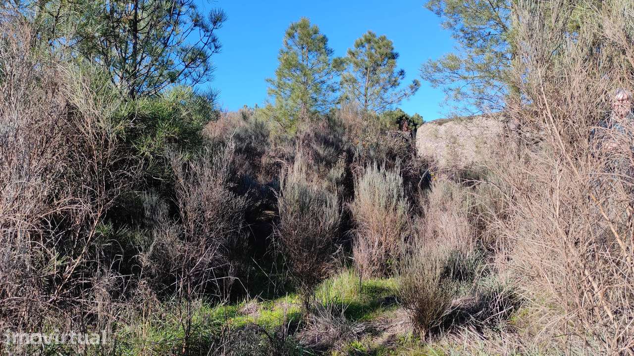 Quinta com vista deslumbrante para a Serra da Estrela 17500€ - Grande imagem: 2/22