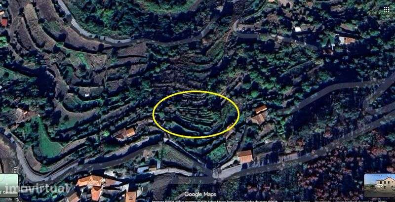 Terreno Agrícola com Vinha e Árvores de Fruto - Grande imagem: 2/12
