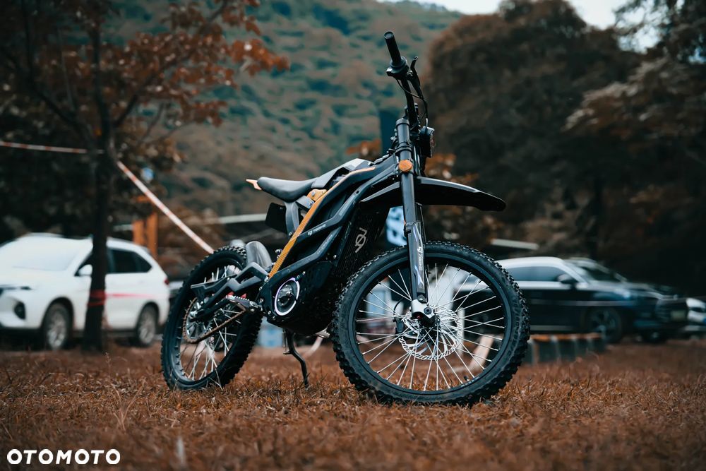 79Bike Falcon Pro - 39