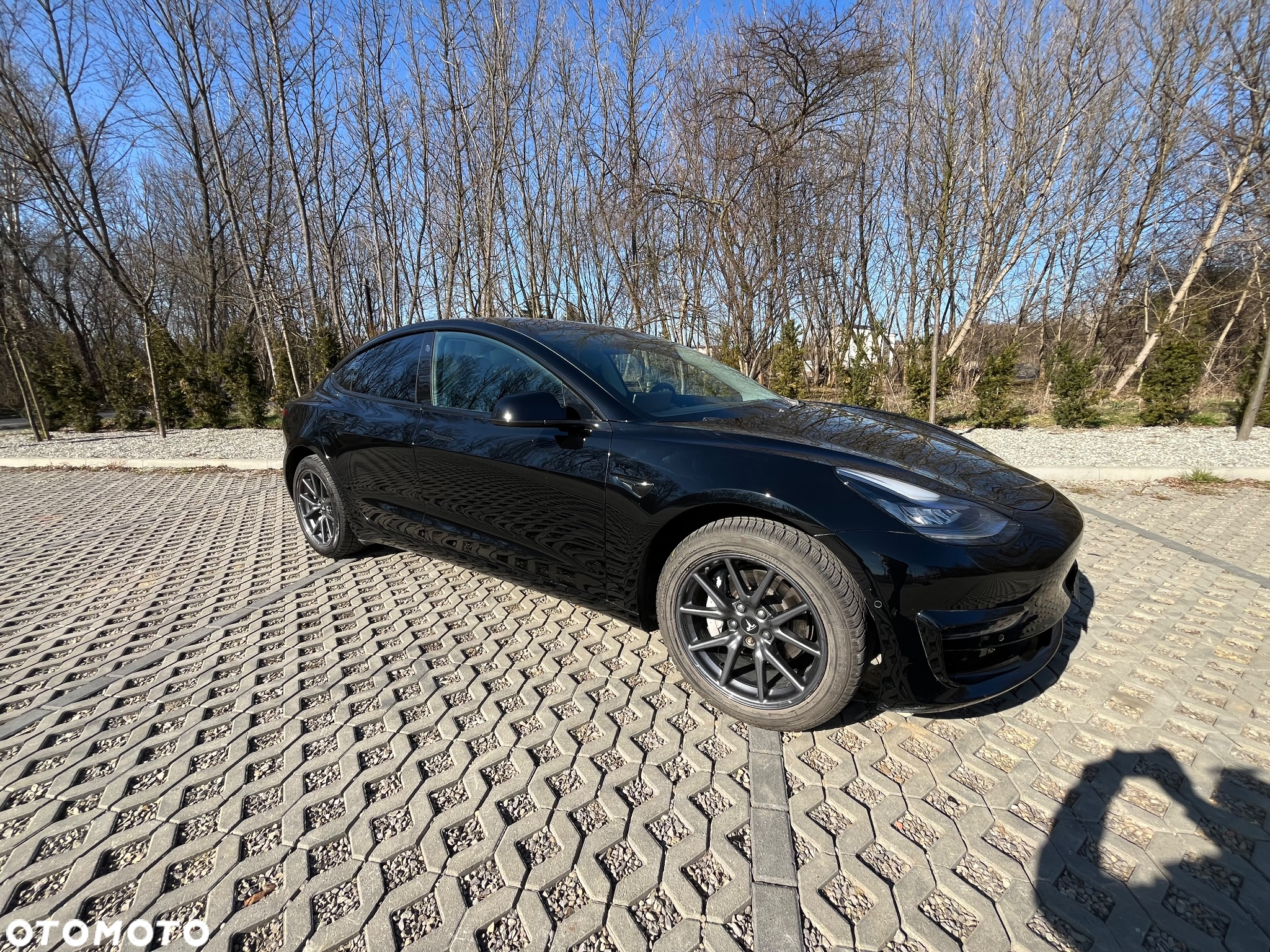 Tesla Model 3 Standard Reichweite Plus Hinterradantrieb - 26