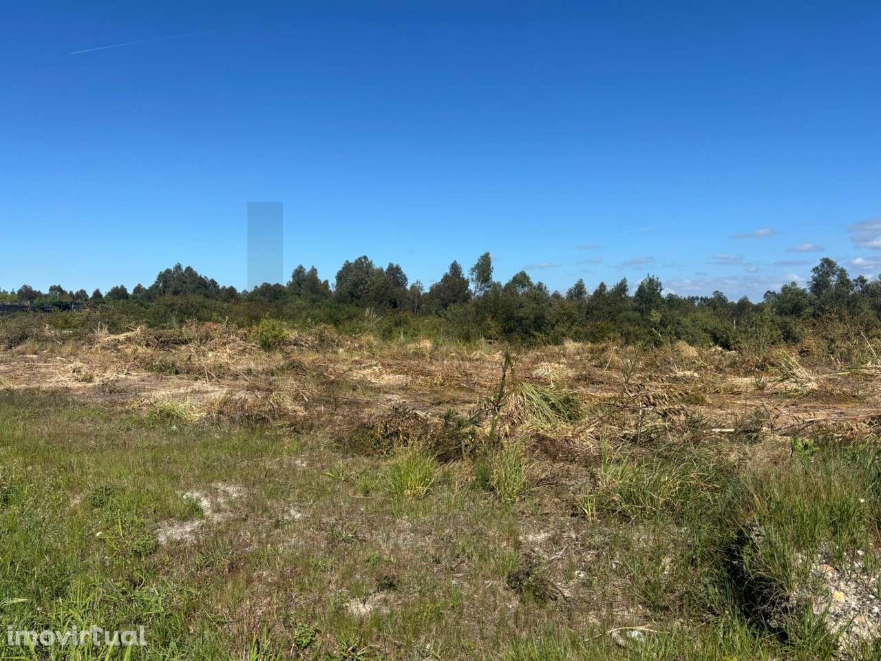 Parque Comercial Quinta da Monica constituído por 10 lotes para Comerc - Grande imagem: 4/20