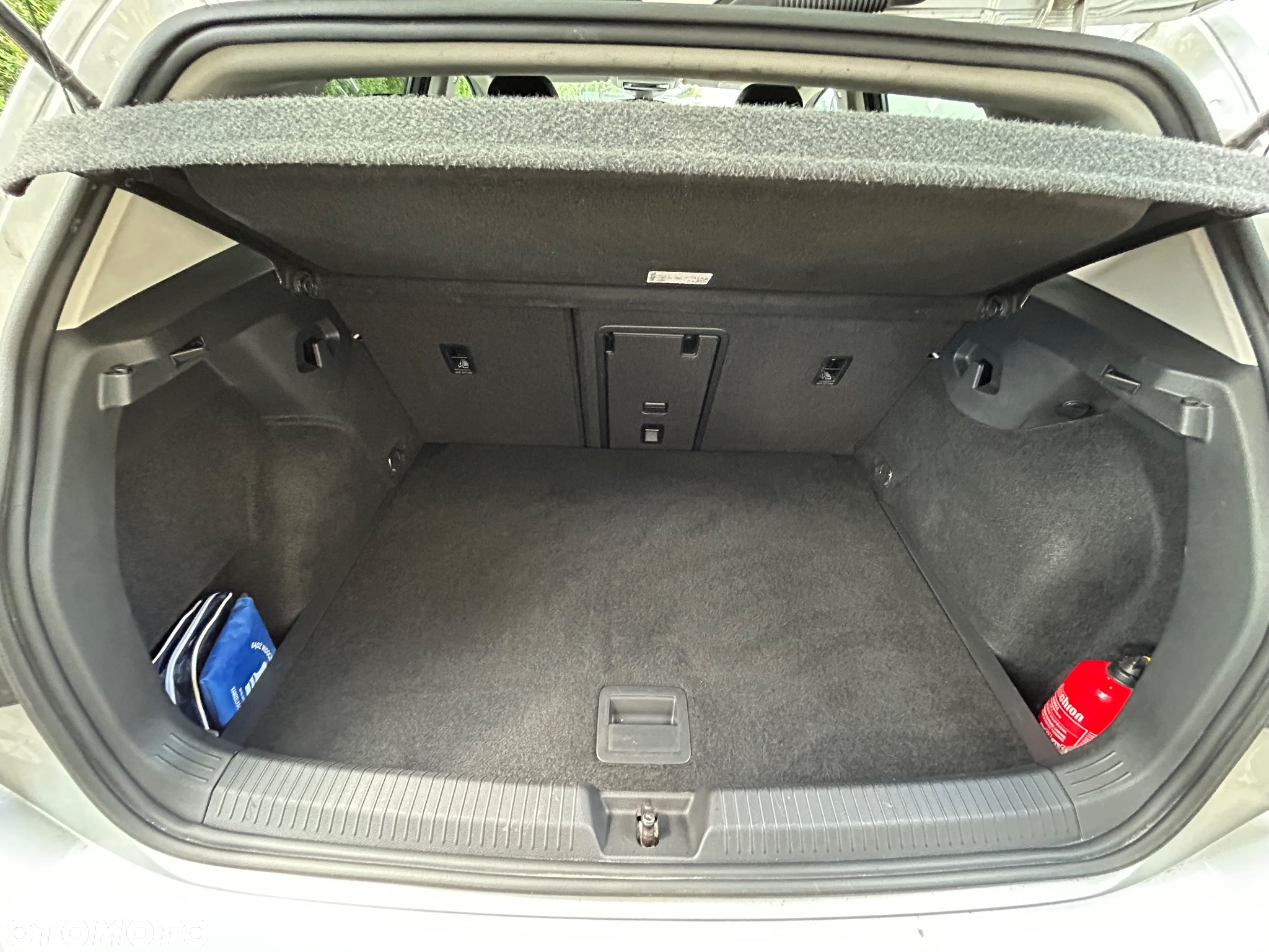 Volkswagen Golf VIII 1.5 TSI EVO Style - 21