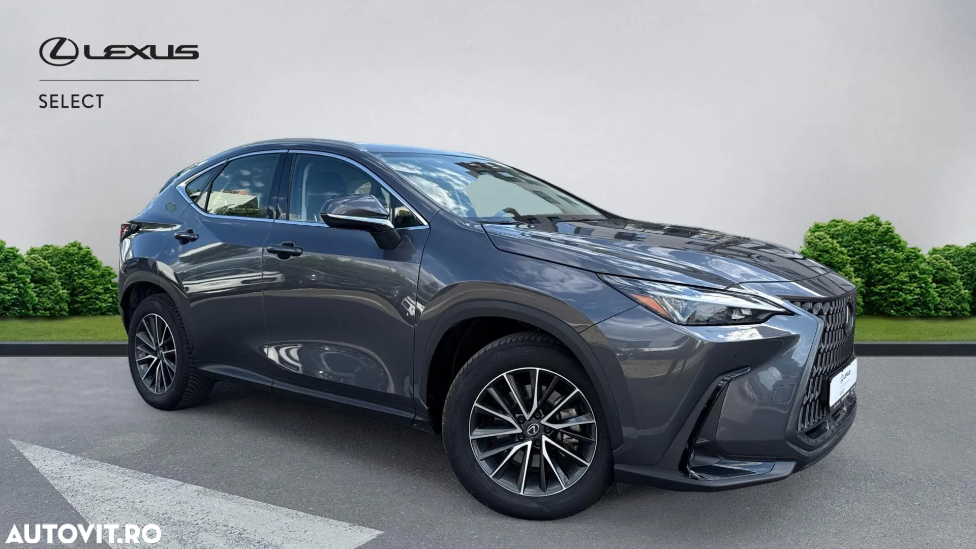 Lexus Seria NX 350h AWD CVT HEV Business - 21