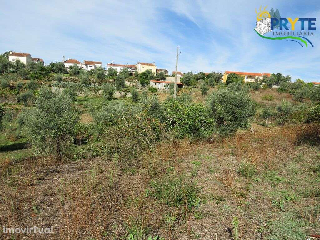 Terreno para construção com área de 2750 m2 perto da Sertã - Grande imagem: 4/9
