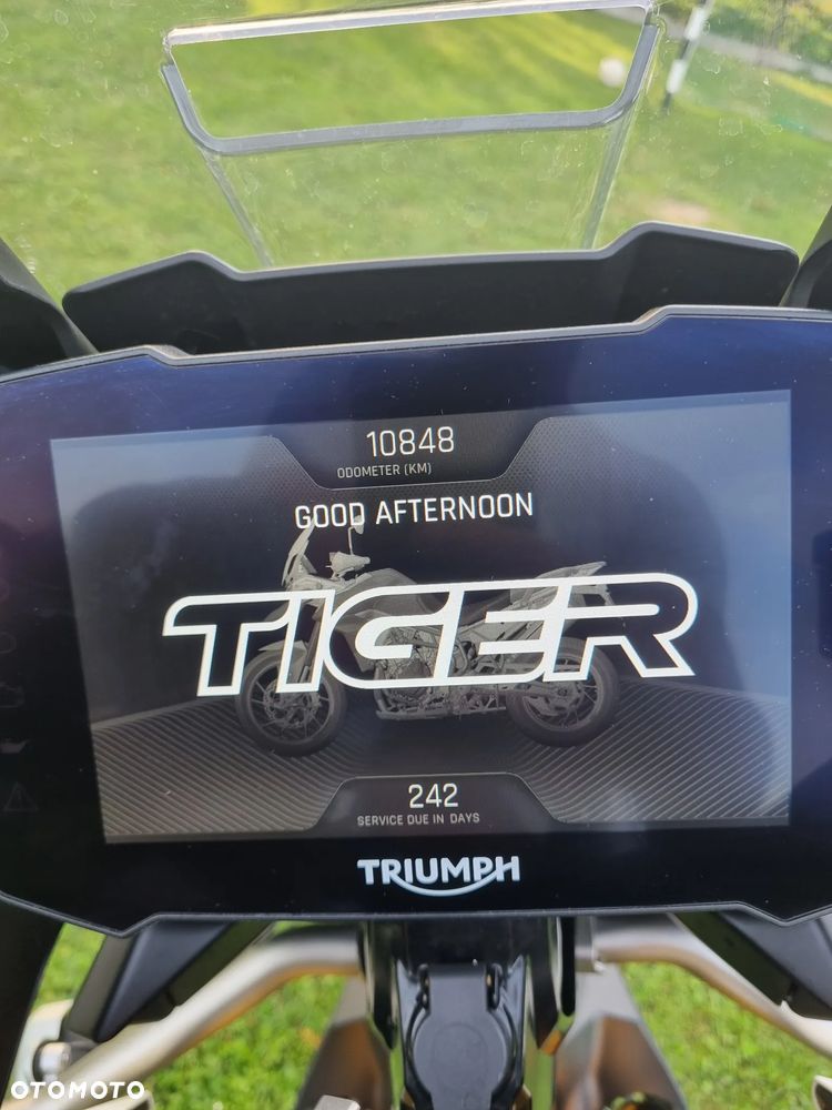 Triumph Tiger - 17