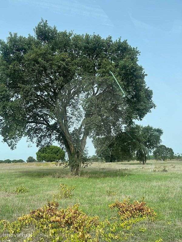 Terreno  para venda - Grande imagem: 3/3