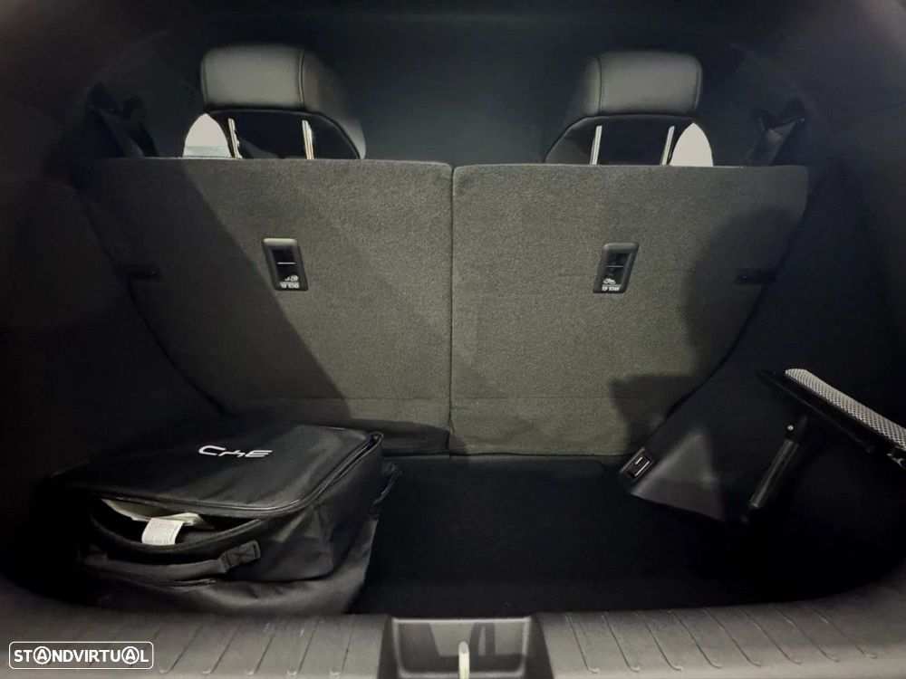 BYD Dolphin Surf - 21