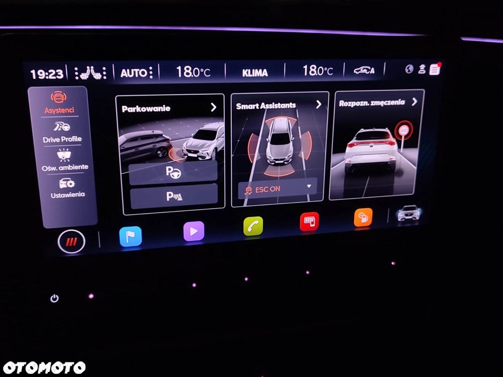 Cupra Formentor 2.0 TSI 4Drive VZ DSG - 32