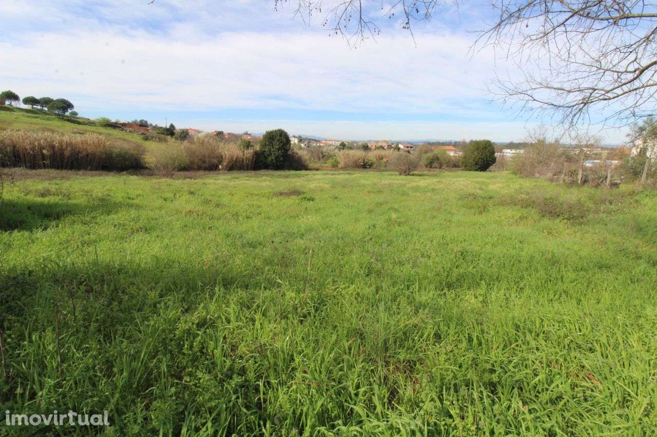 Fantástico Terreno Para Construção - Grande imagem: 4/6