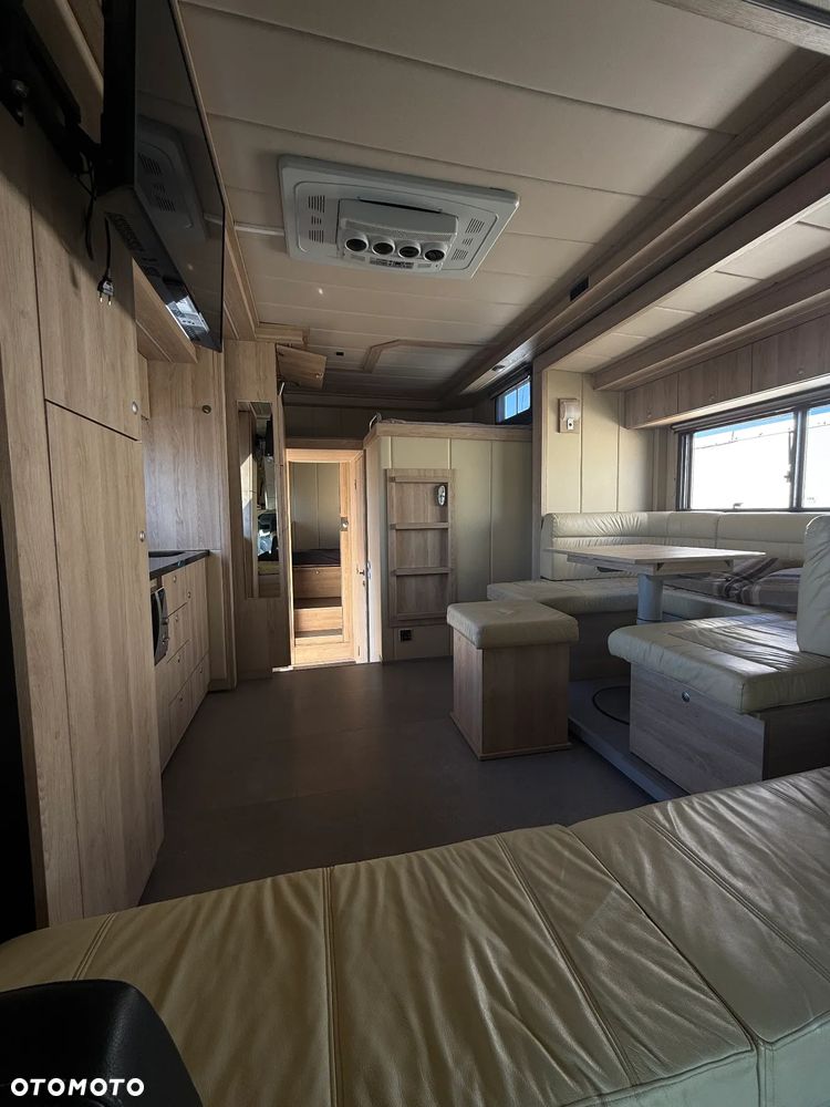 Scania Koniowóz STX P 380 2X POP OUT - 19