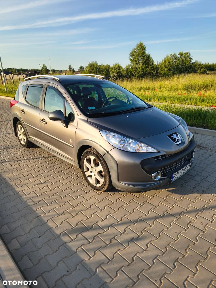 Peugeot 207 - 12