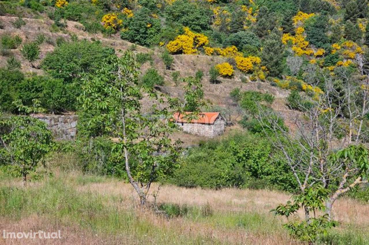 Terreno com 6 hectares - Grande imagem: 3/22