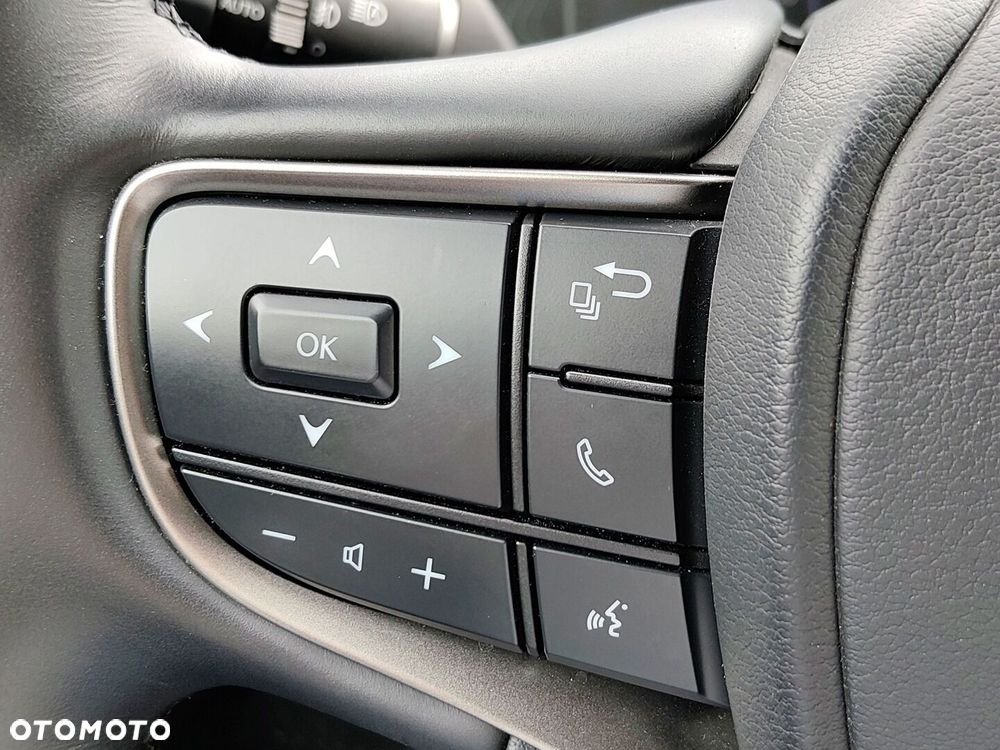 Lexus UX 250h GPF F Sport Design 2WD - 19