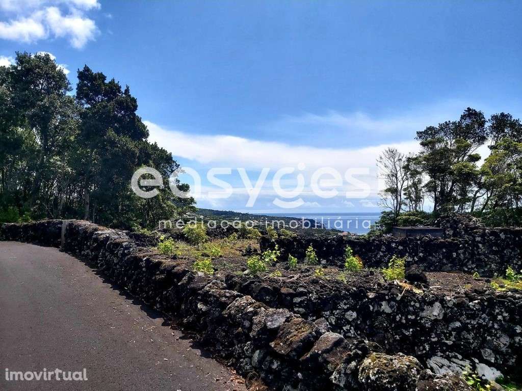 Terreno com vista o mar e montanha, em zona de vinha na ilha do Pico - Grande imagem: 5/16