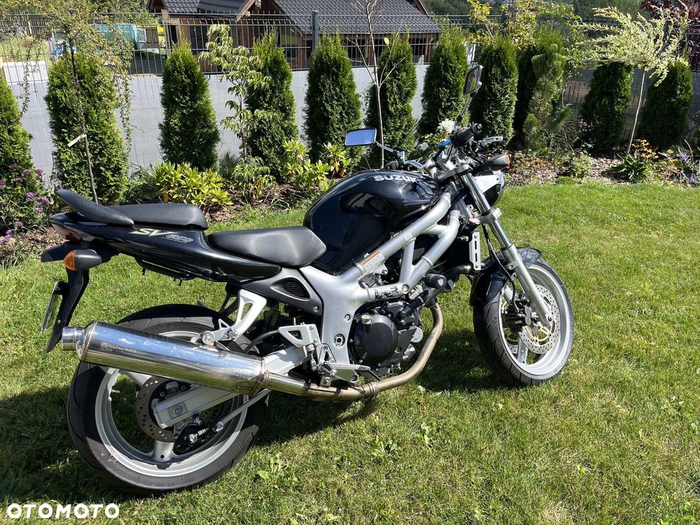 Suzuki SV - 1