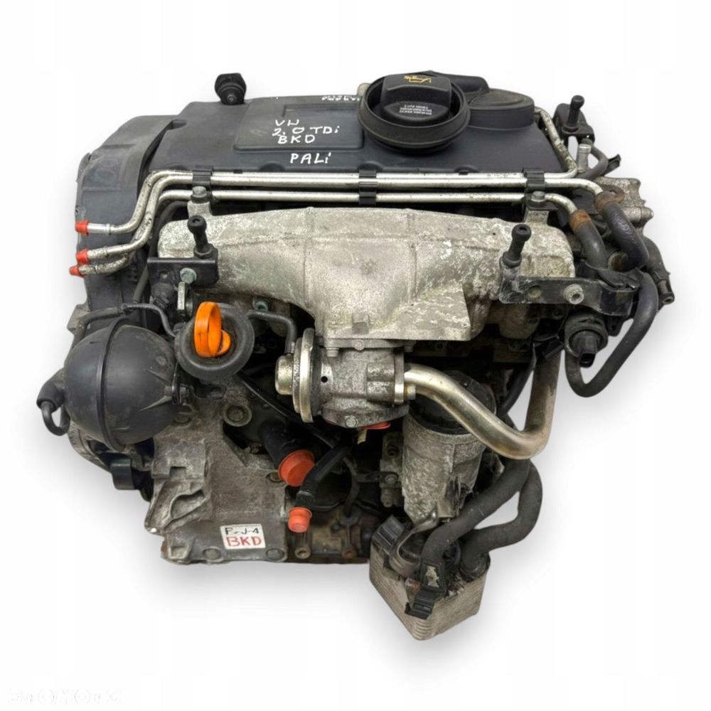 SILNIK BKD VW Golf V Jetta III Touran Skoda Octavia II Superb 2.0 TDI 140KM - 1