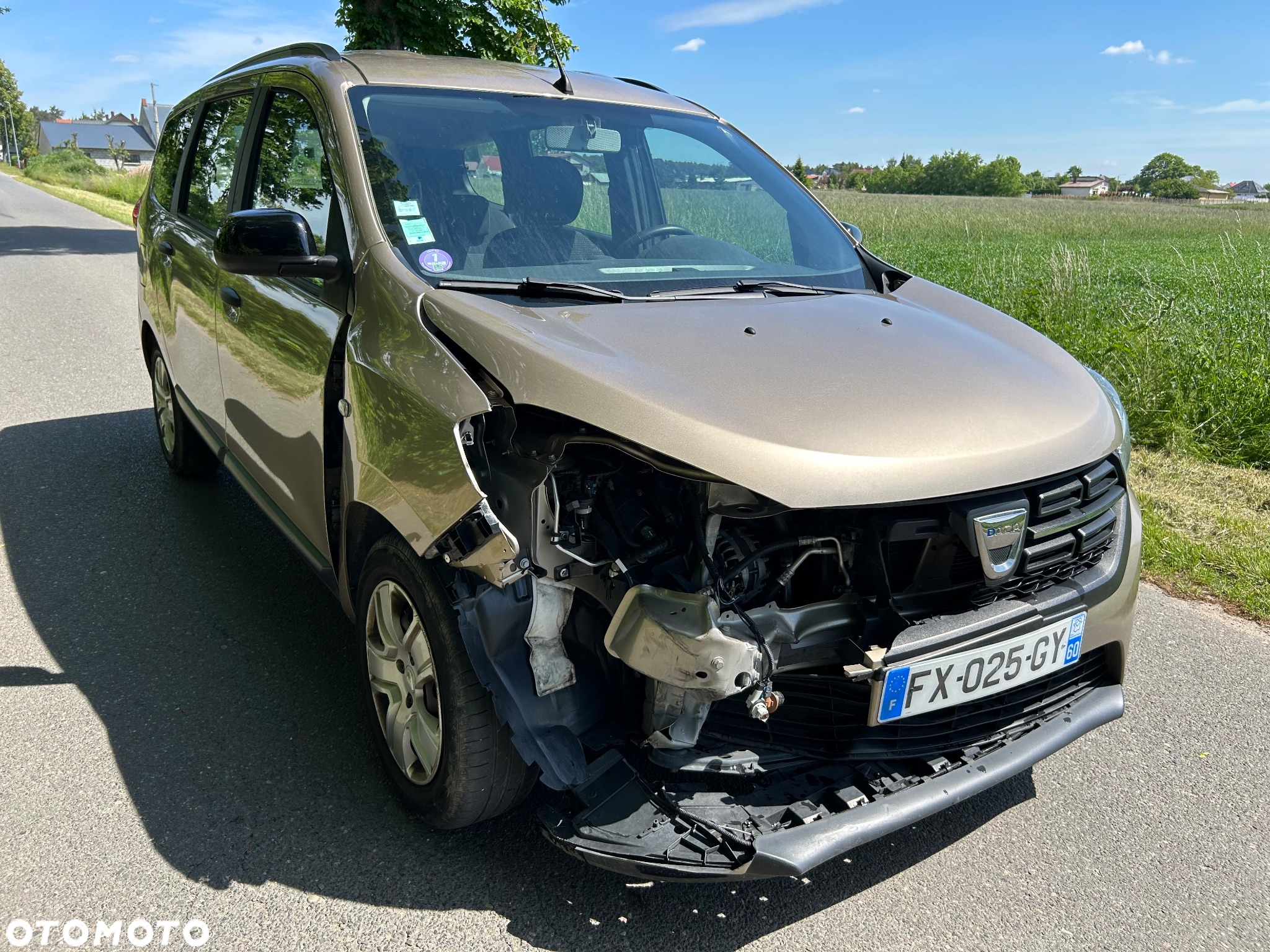 Dacia Lodgy - 29