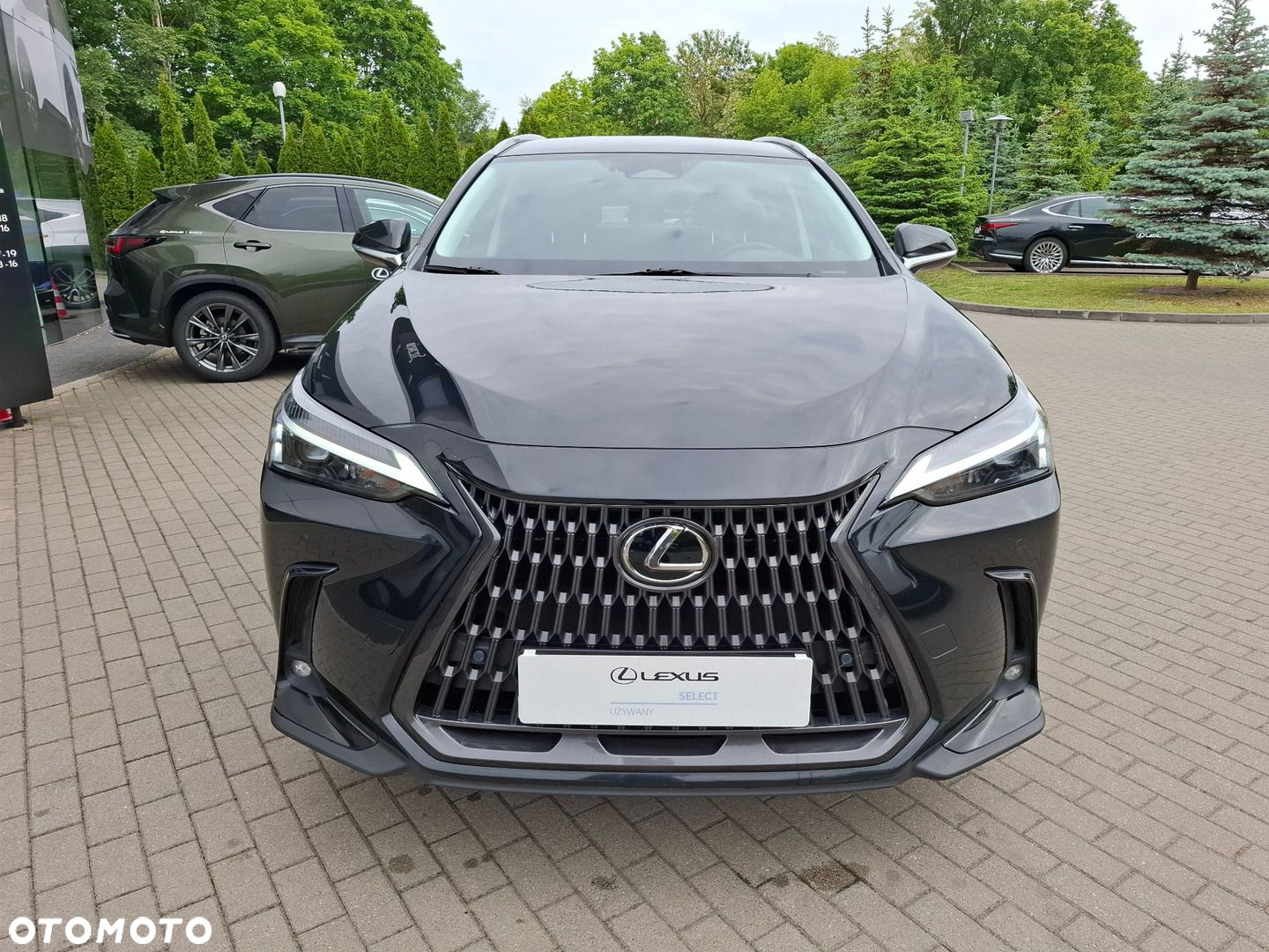 Lexus NX - 8