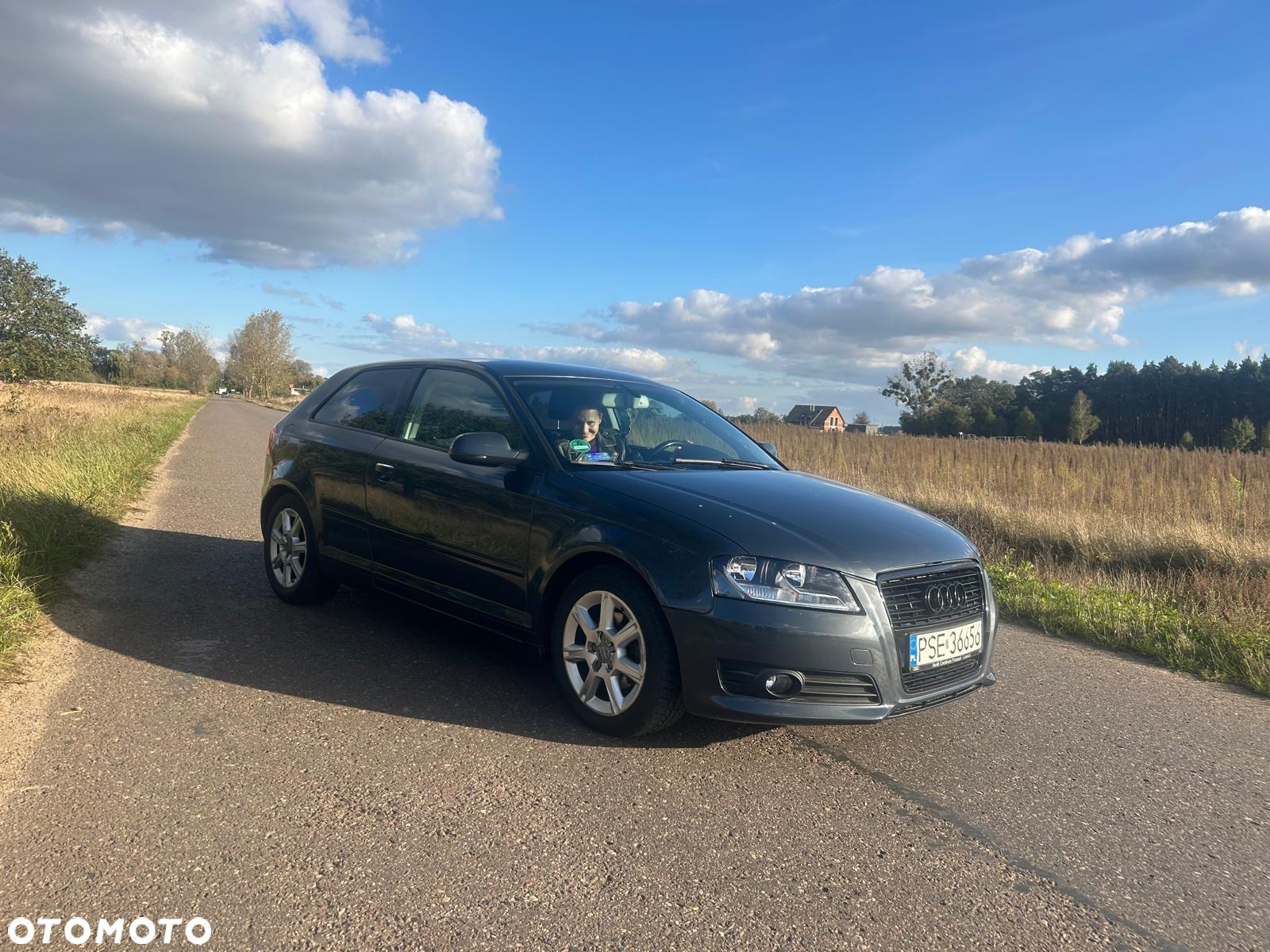 Audi A3 - 8