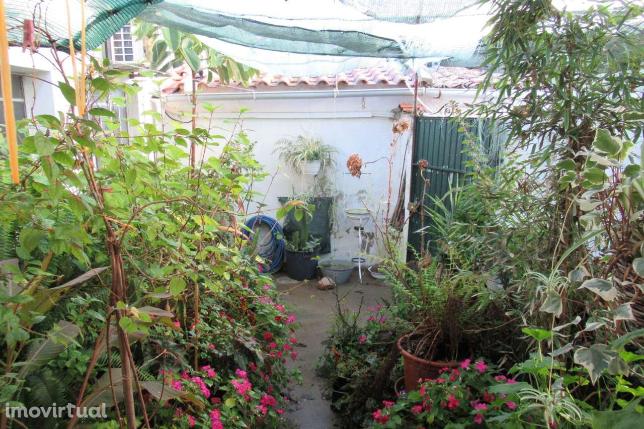 MORADIA TÉRREA. - Grande imagem: 3/19