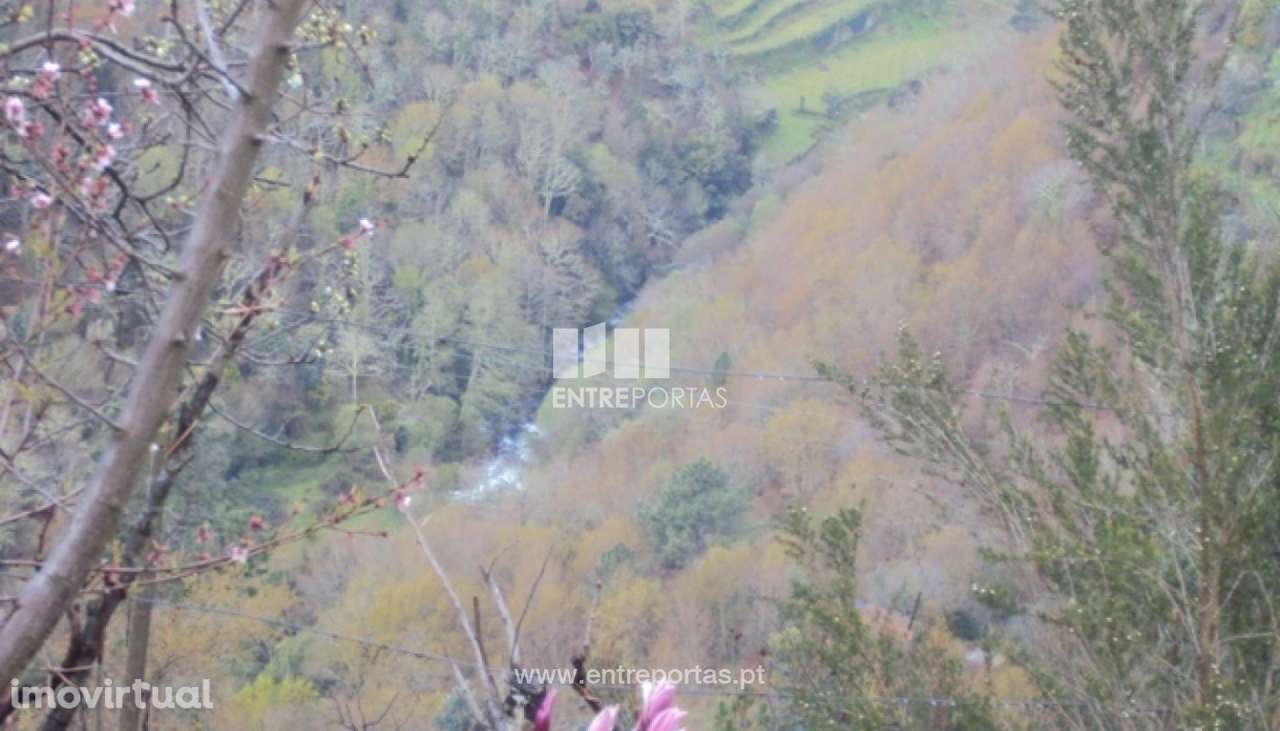 Venda Terreno, Ferreiros de Tendais, Cinfães - Grande imagem: 3/16