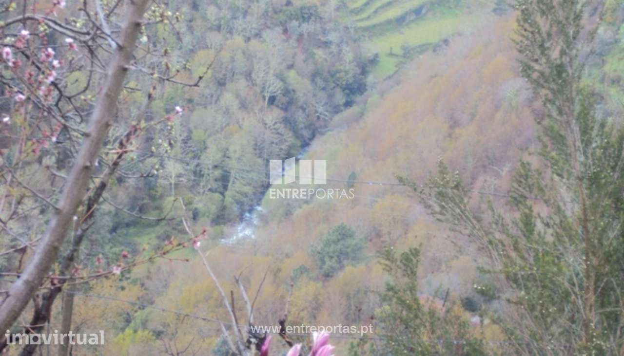 Venda Terreno, Ferreiros de Tendais, Cinfães - Grande imagem: 3/16