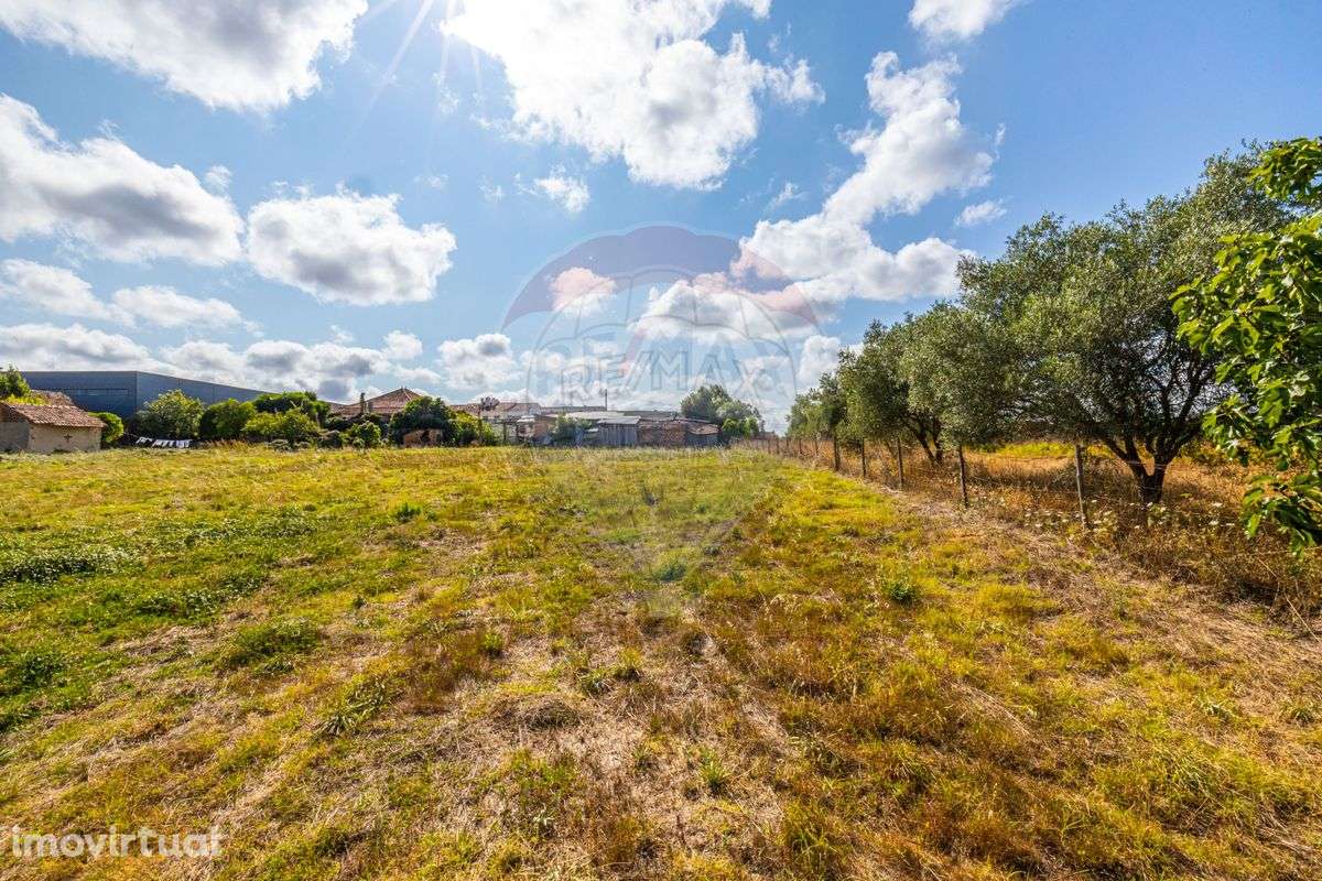 Terreno  para venda - Grande imagem: 5/7