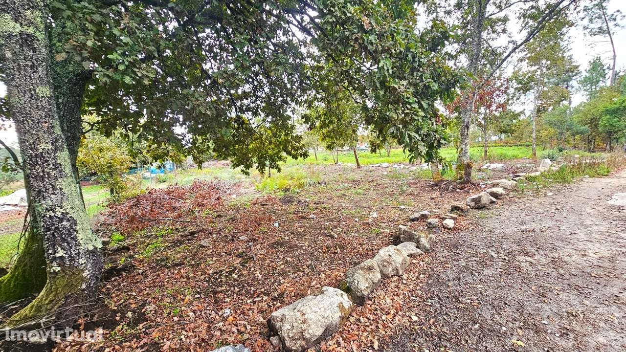 Terreno Rústico  Venda em Rio de Loba,Viseu - Grande imagem: 4/5