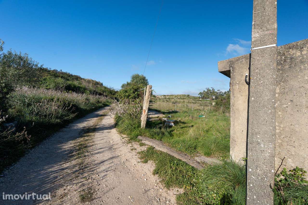 Terreno Rústico na Terrugem - Grande imagem: 5/19