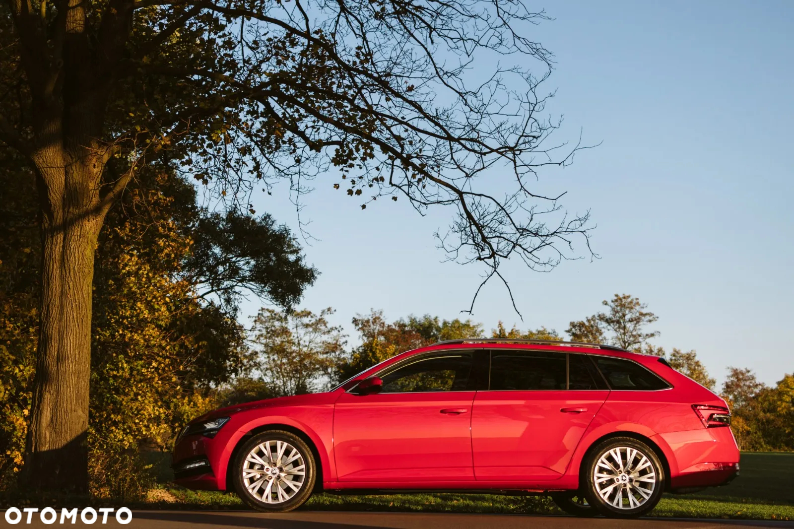 Skoda Superb - 3