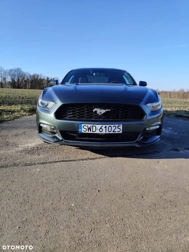 Ford Mustang 3.7 V6 - 11
