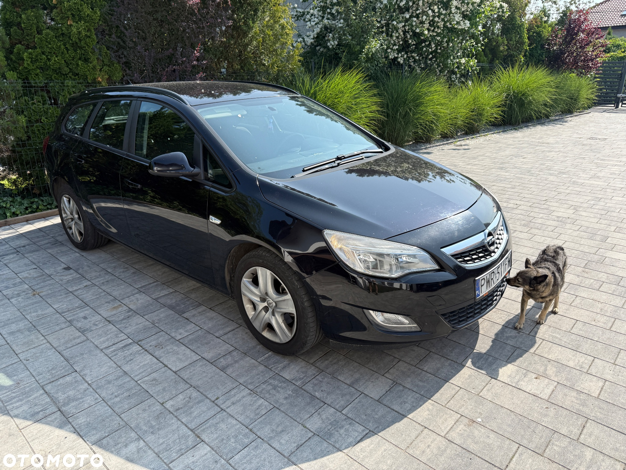 Opel Astra III 1.7 CDTI - 29