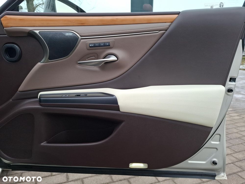 Lexus ES 300h Omotenashi - 14