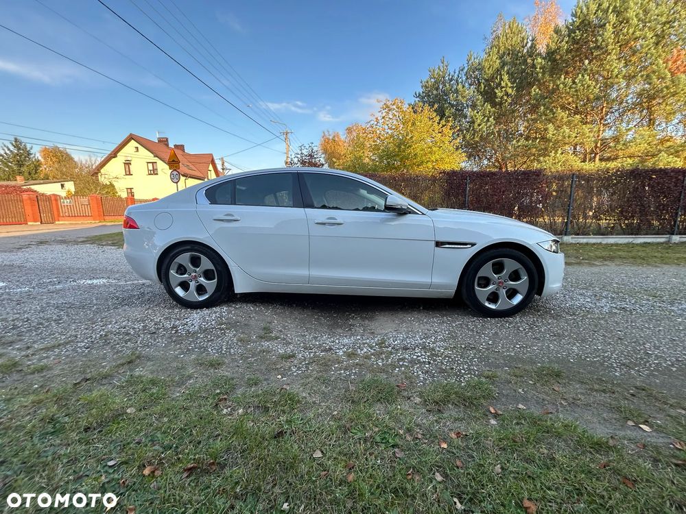 Jaguar XE - 13