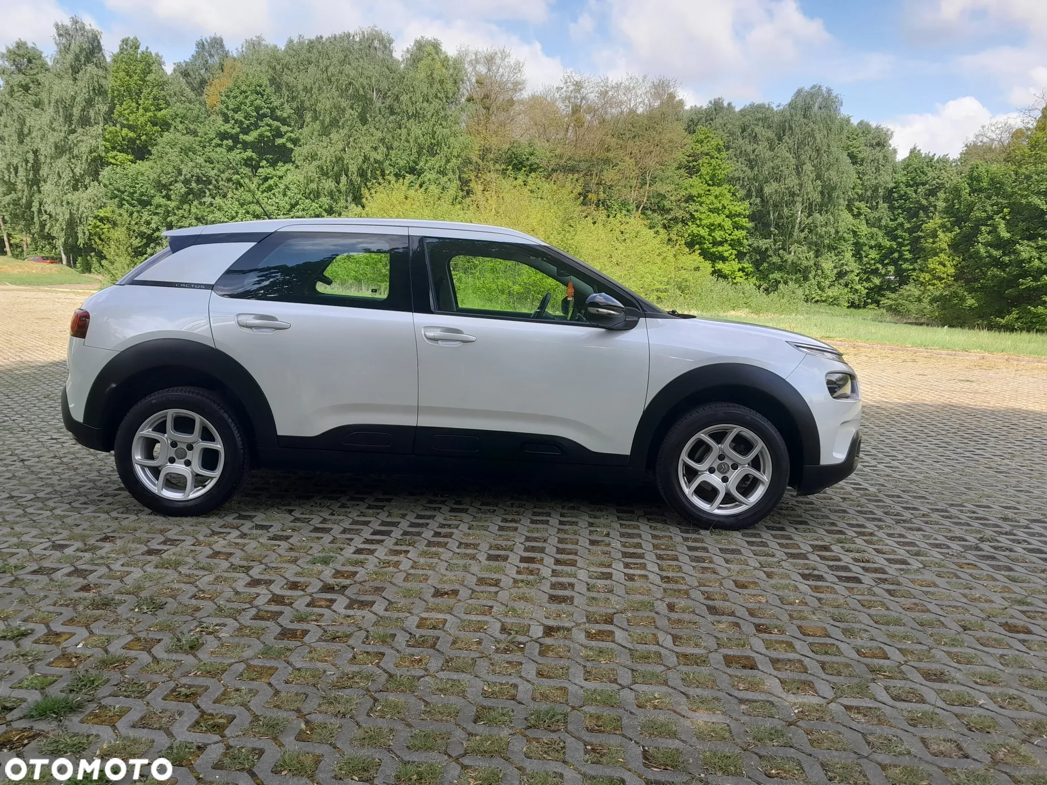 Citroën C4 Cactus 1.2 PureTech Feel Edition S&S - 9