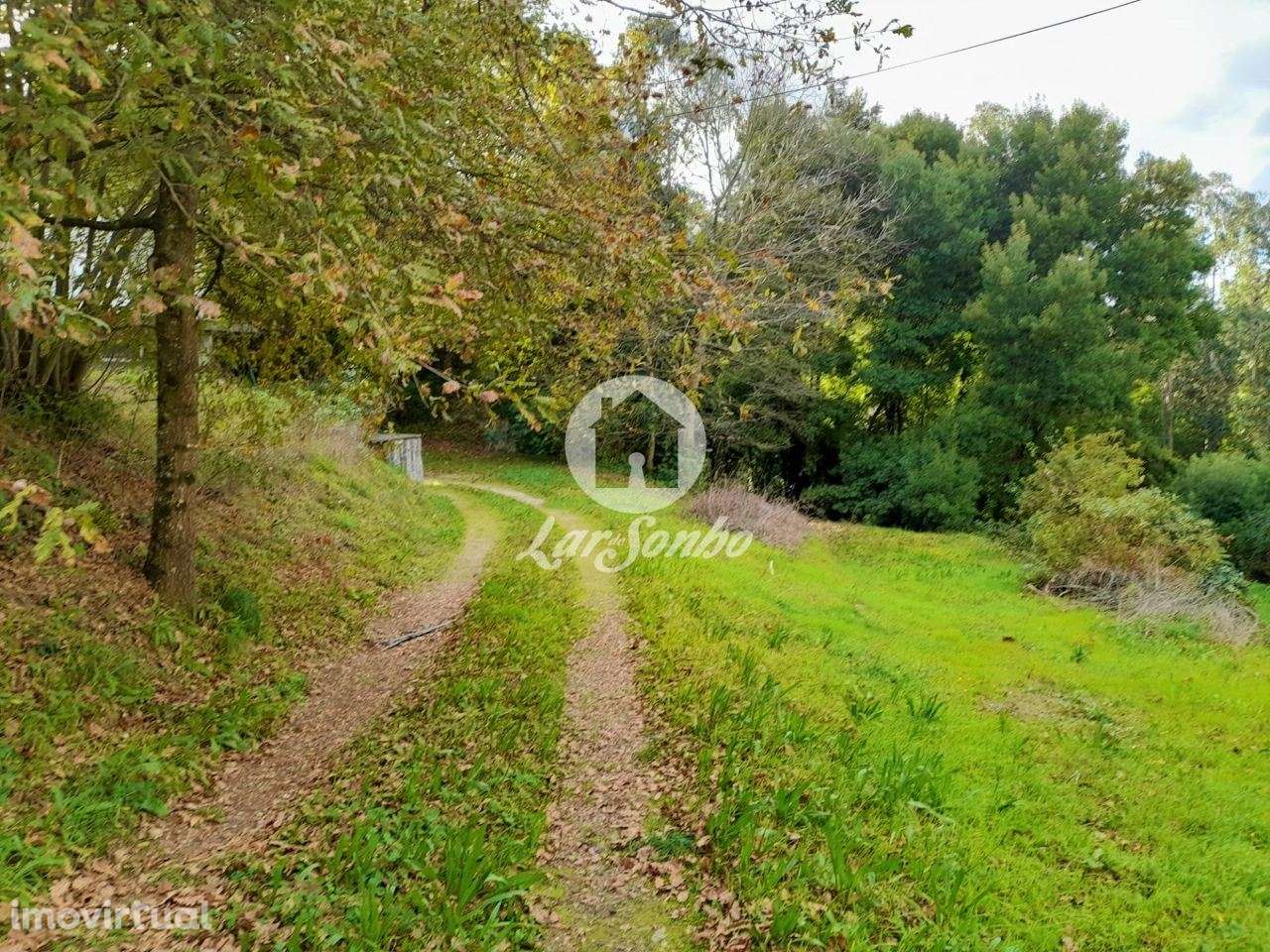 Moradia M5 c/3.100m2 área total em Cruz, VNF - Grande imagem: 2/3