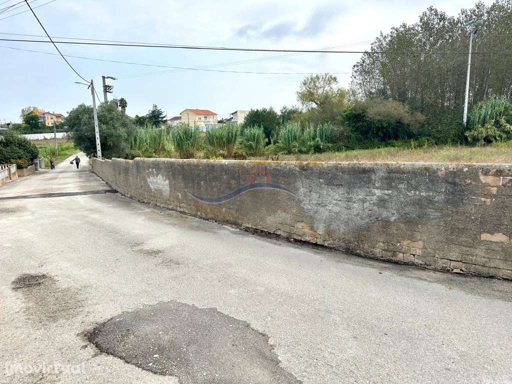 Terreno - Granja, Monte Real - Grande imagem: 3/11