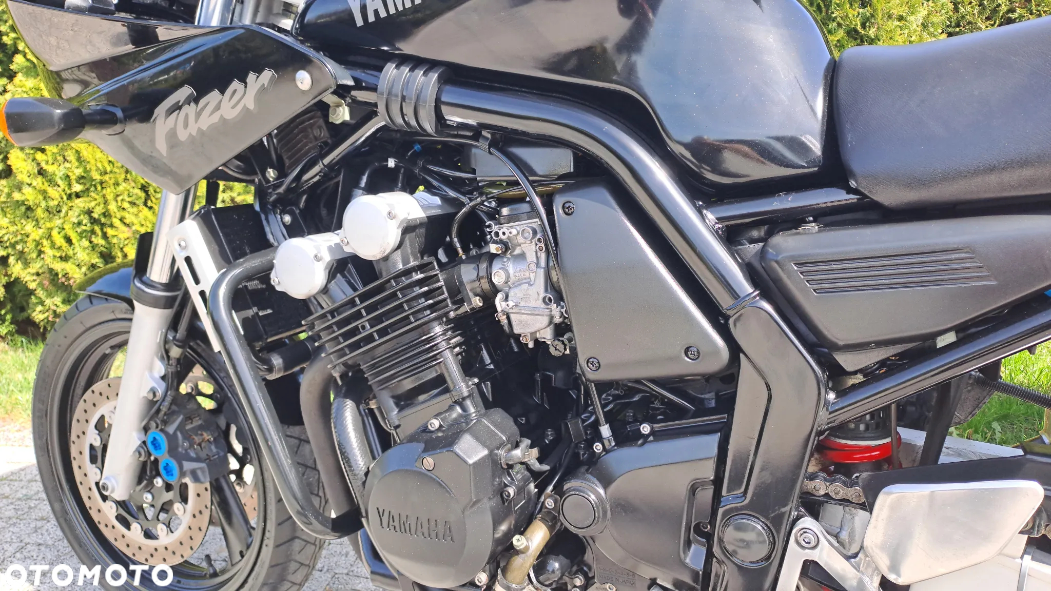 Yamaha FZS - 33